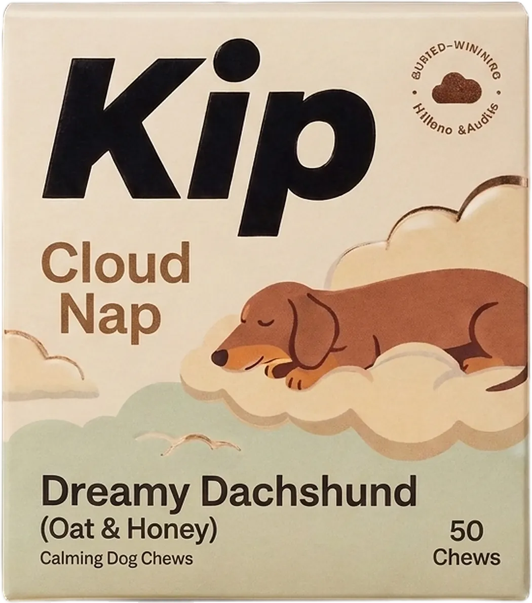Dreamy Dachshund carton