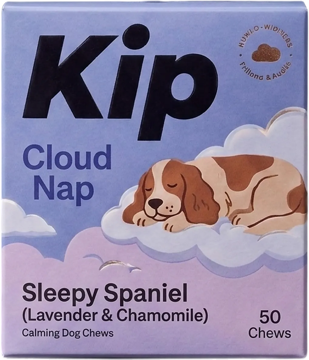 Sleepy Spaniel carton