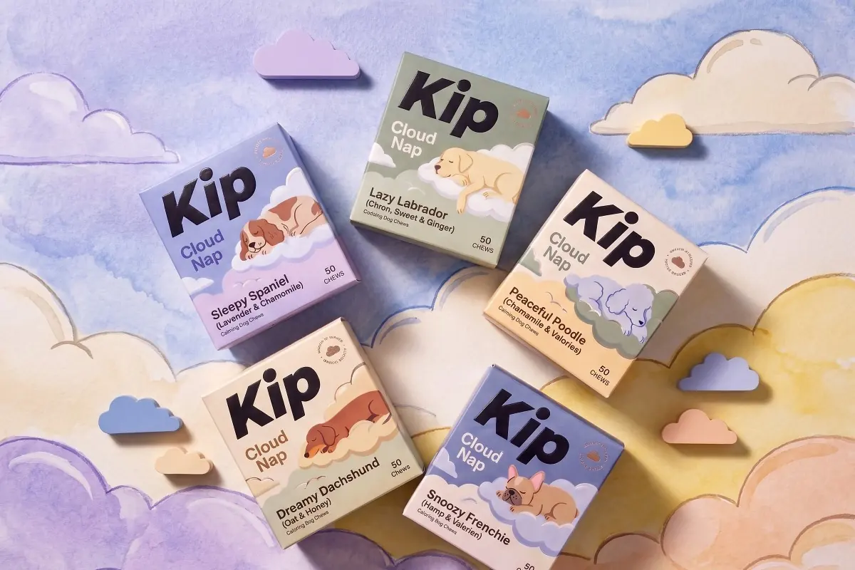 The five Kip cartons laid out on a painted cloudscape